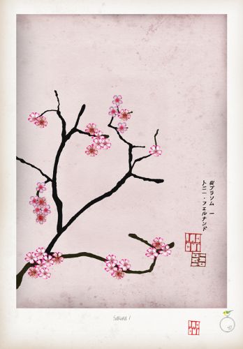 Cherry Blossom Print - Sakura I by Tony Fernandes